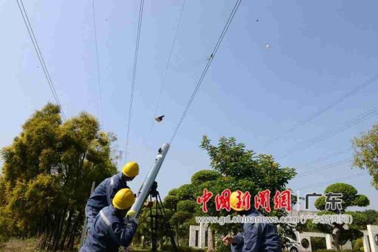 东莞供电局“激光大炮”问世 可带电清除架空线路飘挂物