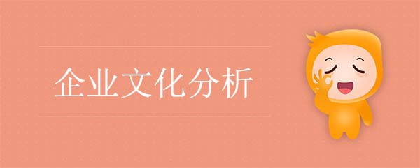 企业文化分析